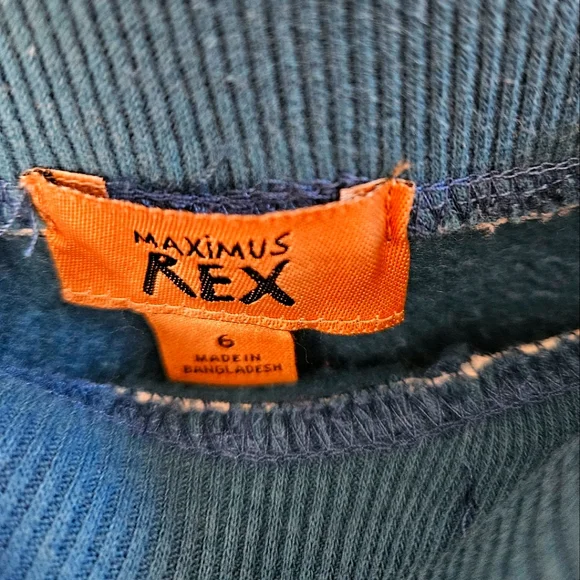 MAXIMUS REX Pants for Boys - Picture 4 of 5